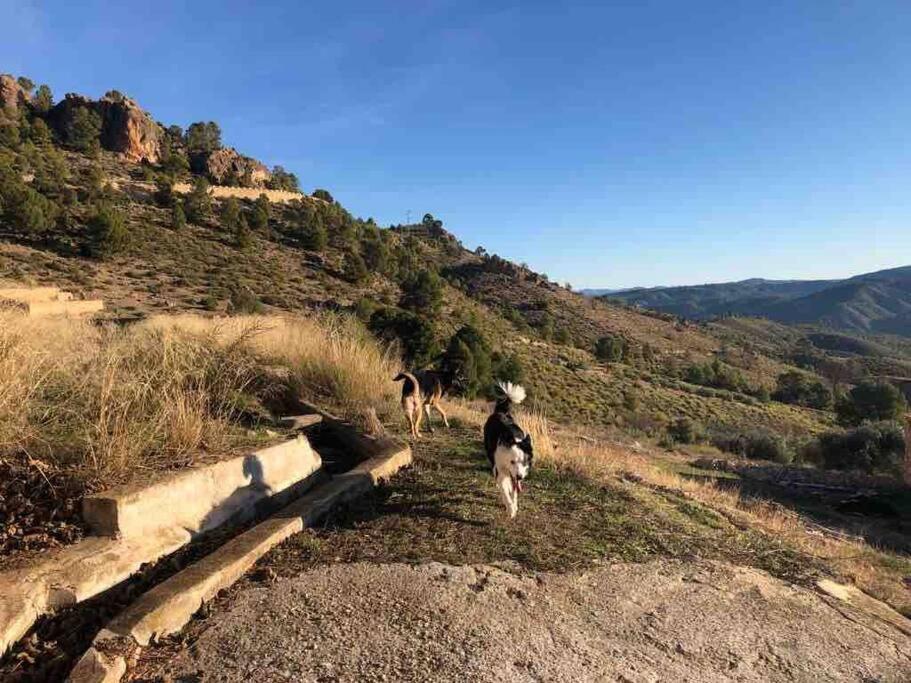 Casa Rural Con Encanto Senorio Manchego Albacete Йесте Екстериор снимка