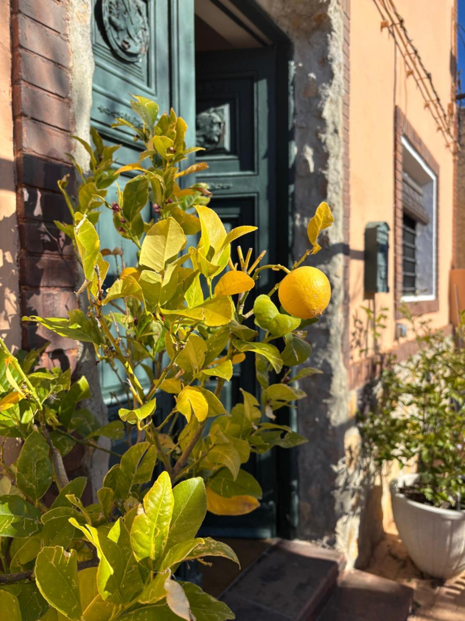 Casa Rural Con Encanto Senorio Manchego Albacete Йесте Екстериор снимка